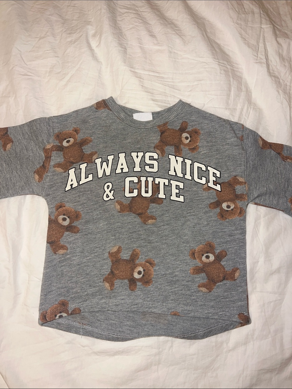 Zara Grey Sweatshirt with Brown Teddy Bear Print - 'Always Nice & Cute'